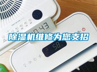 企業(yè)新聞除濕機(jī)維修為您支招
