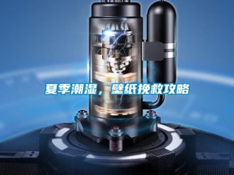 知識百科夏季潮濕，壁紙挽救攻略