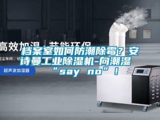 企業(yè)新聞檔案室如何防潮除霉？安詩(shī)曼工業(yè)除濕機(jī)-向潮濕“say no”！