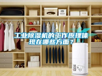 企業(yè)新聞工業(yè)除濕機(jī)的工作原理體現(xiàn)在哪些方面？