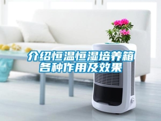 知識百科介紹恒溫恒濕培養(yǎng)箱各種作用及效果