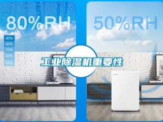 企業(yè)新聞工業(yè)除濕機(jī)重要性