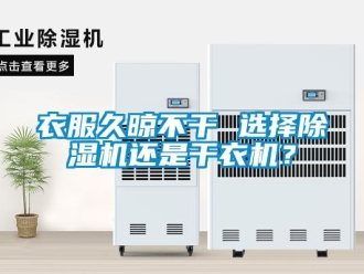 知識百科衣服久晾不干 選擇除濕機(jī)還是干衣機(jī)？