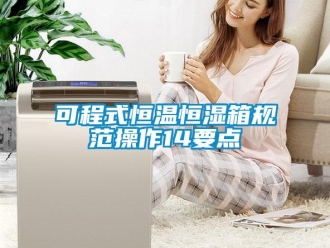 知識(shí)百科可程式恒溫恒濕箱規(guī)范操作14要點(diǎn)