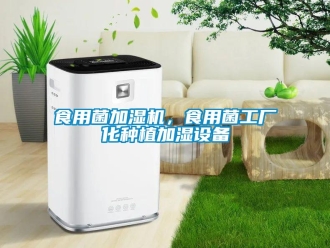 知識百科食用菌加濕機，食用菌工廠化種植加濕設(shè)備