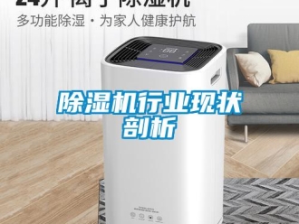 企業(yè)新聞除濕機行業(yè)現(xiàn)狀剖析