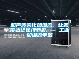 企業(yè)新聞超聲波霧化加濕器，讓蔬菜始終保持新鮮 — 工業(yè)加濕器專題