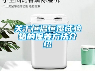 知識(shí)百科關(guān)于恒溫恒濕試驗(yàn)箱的保養(yǎng)方法介紹