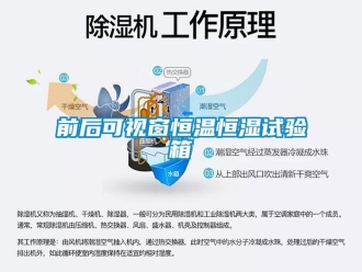 知識百科前后可視窗恒溫恒濕試驗(yàn)箱