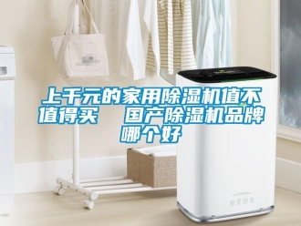 企業(yè)新聞上千元的家用除濕機值不值得買  國產(chǎn)除濕機品牌哪個好