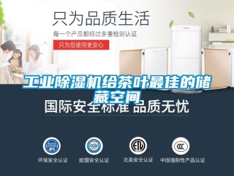 企業(yè)新聞工業(yè)除濕機(jī)給茶葉最佳的儲藏空間