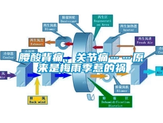 知識百科腰酸背痛、關節(jié)痛……原來是梅雨季惹的禍
