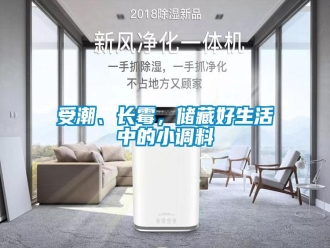 知識(shí)百科受潮、長(zhǎng)霉，儲(chǔ)藏好生活中的小調(diào)料