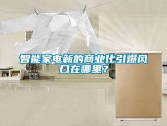 知識百科智能家電新的商業(yè)化引爆風(fēng)口在哪里？