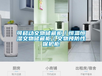知識(shí)百科可移動(dòng)文物儲(chǔ)藏柜／恒溫恒濕文物儲(chǔ)藏柜／文物預(yù)防性保護(hù)柜