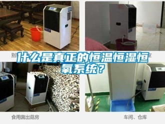 知識(shí)百科什么是真正的恒溫恒濕恒氧系統(tǒng)？
