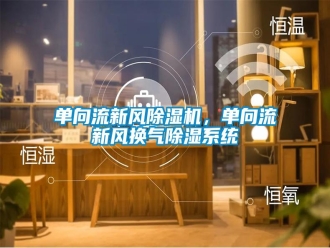 企業(yè)新聞單向流新風(fēng)除濕機(jī)，單向流新風(fēng)換氣除濕系統(tǒng)