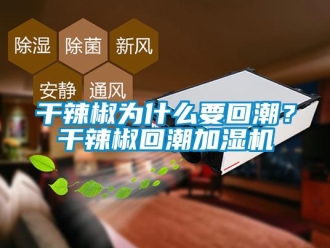 企業(yè)新聞干辣椒為什么要回潮？干辣椒回潮加濕機