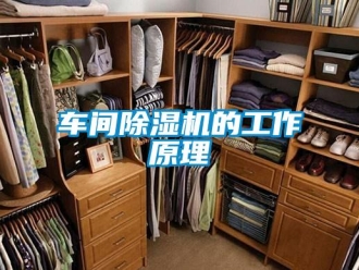 企業(yè)新聞車間除濕機(jī)的工作原理