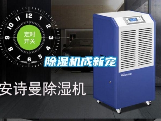 企業(yè)新聞除濕機成新寵