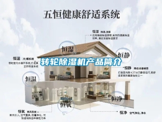 知識(shí)百科轉(zhuǎn)輪除濕機(jī)產(chǎn)品簡介