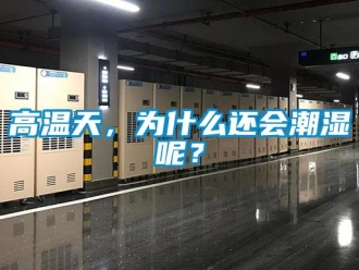 企業(yè)新聞高溫天，為什么還會潮濕呢？