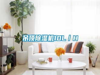 企業(yè)新聞吊頂除濕機(jī)10L／H