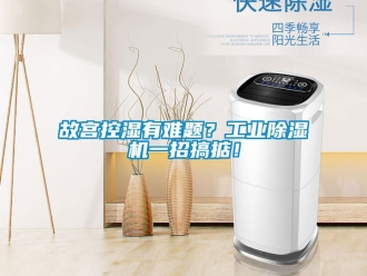 企業(yè)新聞故宮控濕有難題？工業(yè)除濕機(jī)一招搞掂！