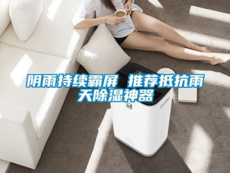 知識(shí)百科陰雨持續(xù)霸屏 推薦抵抗雨天除濕神器