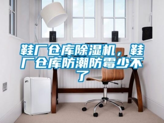 知識百科鞋廠倉庫除濕機(jī)，鞋廠倉庫防潮防霉少不了