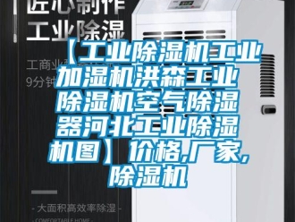 企業(yè)新聞【工業(yè)除濕機(jī)工業(yè)加濕機(jī)洪森工業(yè)除濕機(jī)空氣除濕器河北工業(yè)除濕機(jī)圖】價(jià)格,廠家,除濕機(jī)