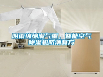 知識(shí)百科陰雨綿綿潮氣重，智能空氣除濕機(jī)防潮有方