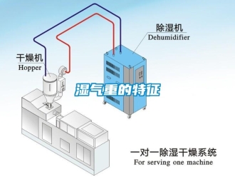 知識(shí)百科濕氣重的特征