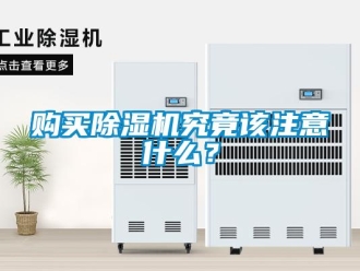 企業(yè)新聞購買除濕機(jī)究竟該注意什么？