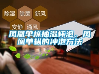 企業(yè)新聞鳳凰單樅抽濕杯泡，鳳凰單樅的沖泡方法