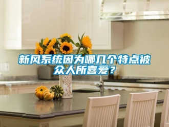 知識百科新風系統(tǒng)因為哪幾個特點被眾人所喜愛？