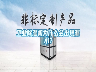 企業(yè)新聞工業(yè)除濕機(jī)為什么會出現(xiàn)漏水？