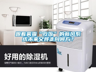 企業(yè)新聞跟著霧霾“吃飯”的新風系統(tǒng)未來又將走向何方？