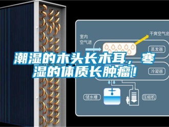 企業(yè)新聞潮濕的木頭長(zhǎng)木耳，寒濕的體質(zhì)長(zhǎng)腫瘤！