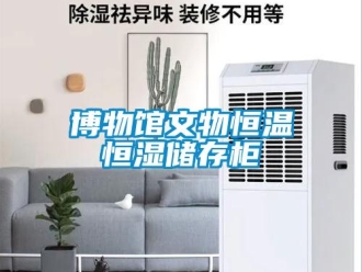 知識百科博物館文物恒溫恒濕儲存柜