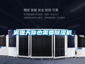 知識百科霧霾天你也需要除濕機(jī)