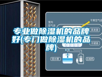 企業(yè)新聞專(zhuān)業(yè)做除濕機(jī)的品牌好(專(zhuān)門(mén)做除濕機(jī)的品牌)