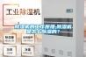除濕機的工作原理,除濕機是怎么除濕的？