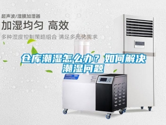 企業(yè)新聞倉(cāng)庫(kù)潮濕怎么辦？如何解決潮濕問題