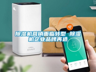 企業(yè)新聞除濕機(jī)營(yíng)銷(xiāo)面臨轉(zhuǎn)型 除濕機(jī)企業(yè)品牌再造