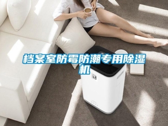 企業(yè)新聞檔案室防霉防潮專用除濕機(jī)