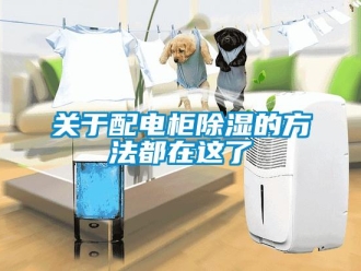 企業(yè)新聞關于配電柜除濕的方法都在這了