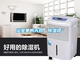 知識(shí)百科浴室里的天然“除濕器”