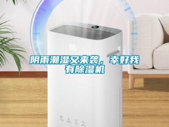 知識(shí)百科陰雨潮濕又來(lái)襲，幸好我有除濕機(jī)