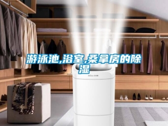 知識(shí)百科游泳池,浴室,桑拿房的除濕